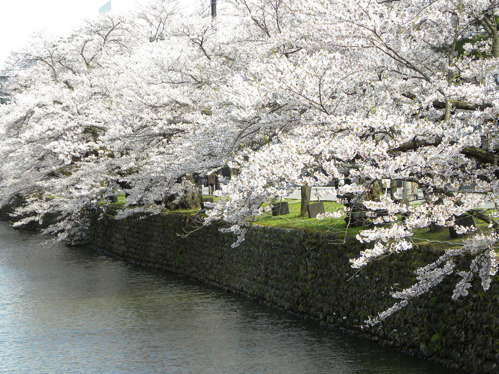 Hotel Benex Yonezawa Bagian luar foto